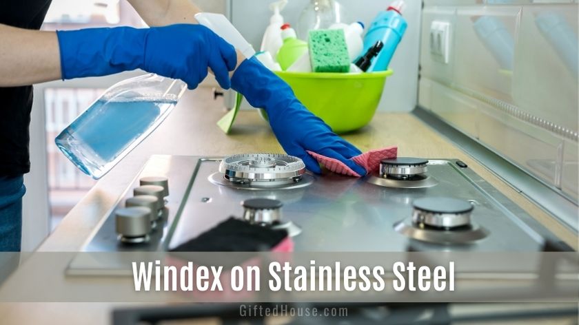 Cleaning Stainless Steel Windex