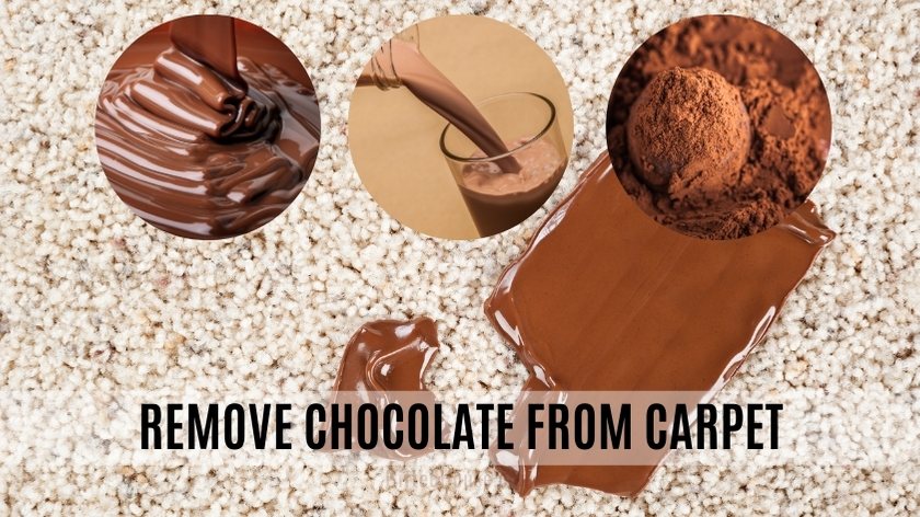 How to remove chocolate from carpet