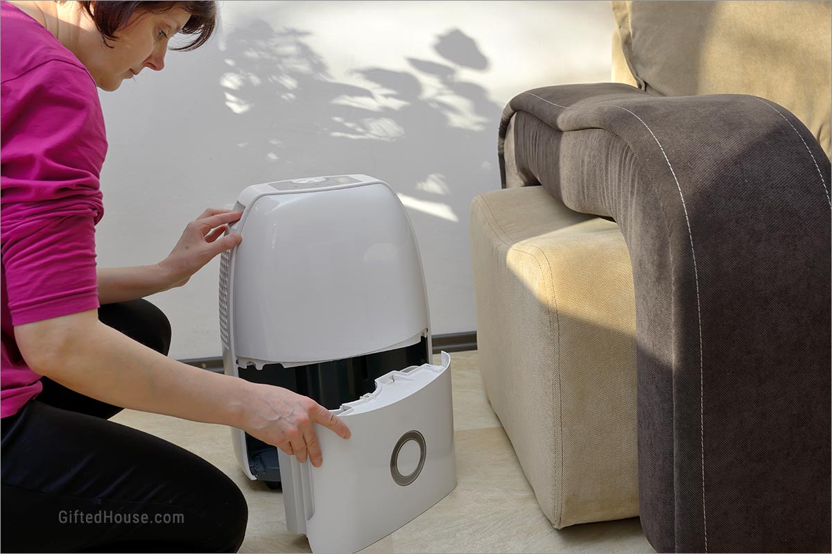 Cleaning and maintaining dehumidifier