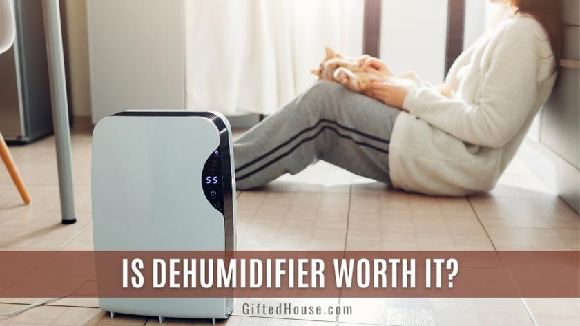 Disadvantages of a Dehumidifier