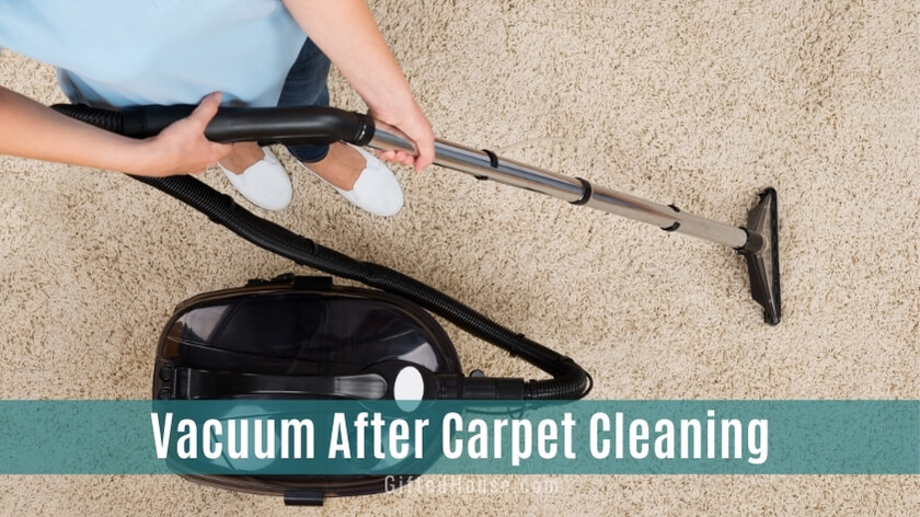 Vacuum After Carpet Cleaning